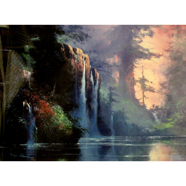Framed Limited Edition Cibachrome Print 'Nature Symphony' By James Coleman