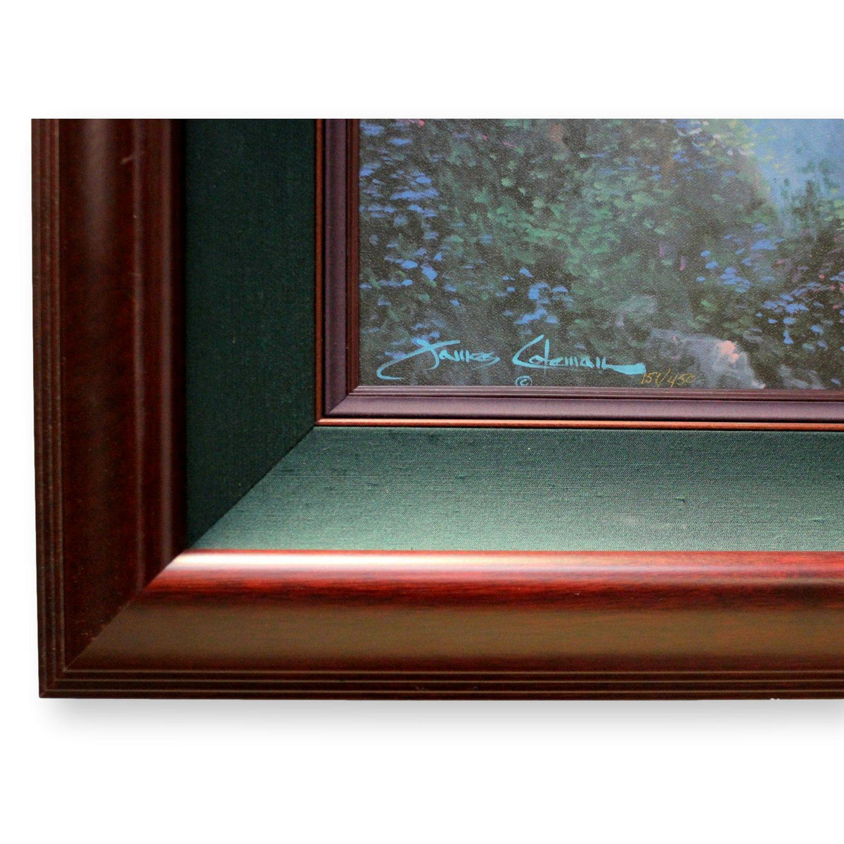 Framed Limited Edition Canvas Transfer 'Wooded Sanctuary' By James Coleman