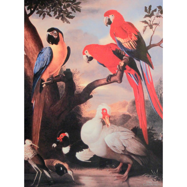 Tropical Bird Framed Print