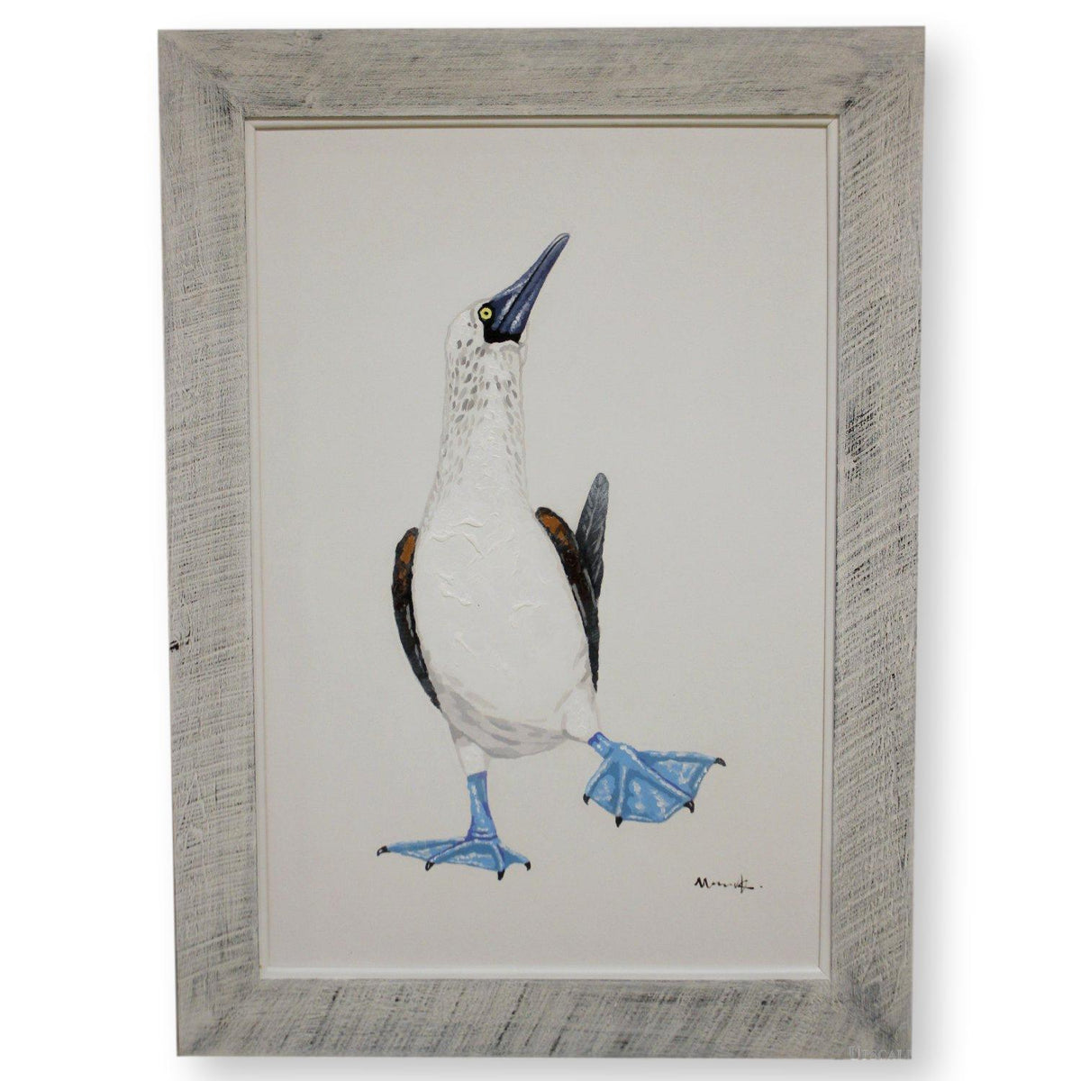 Retouched Print Blue-Footed Booby Artwork