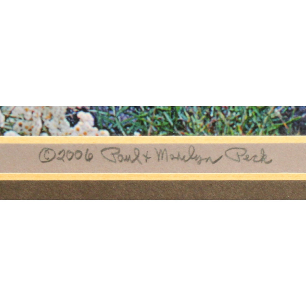 'Mt. Hood Draped in Flowers' Framed Limited Edition Print By Paul & Marilyn Peck