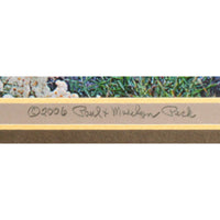 'Mt. Hood Draped in Flowers' Framed Limited Edition Print By Paul & Marilyn Peck