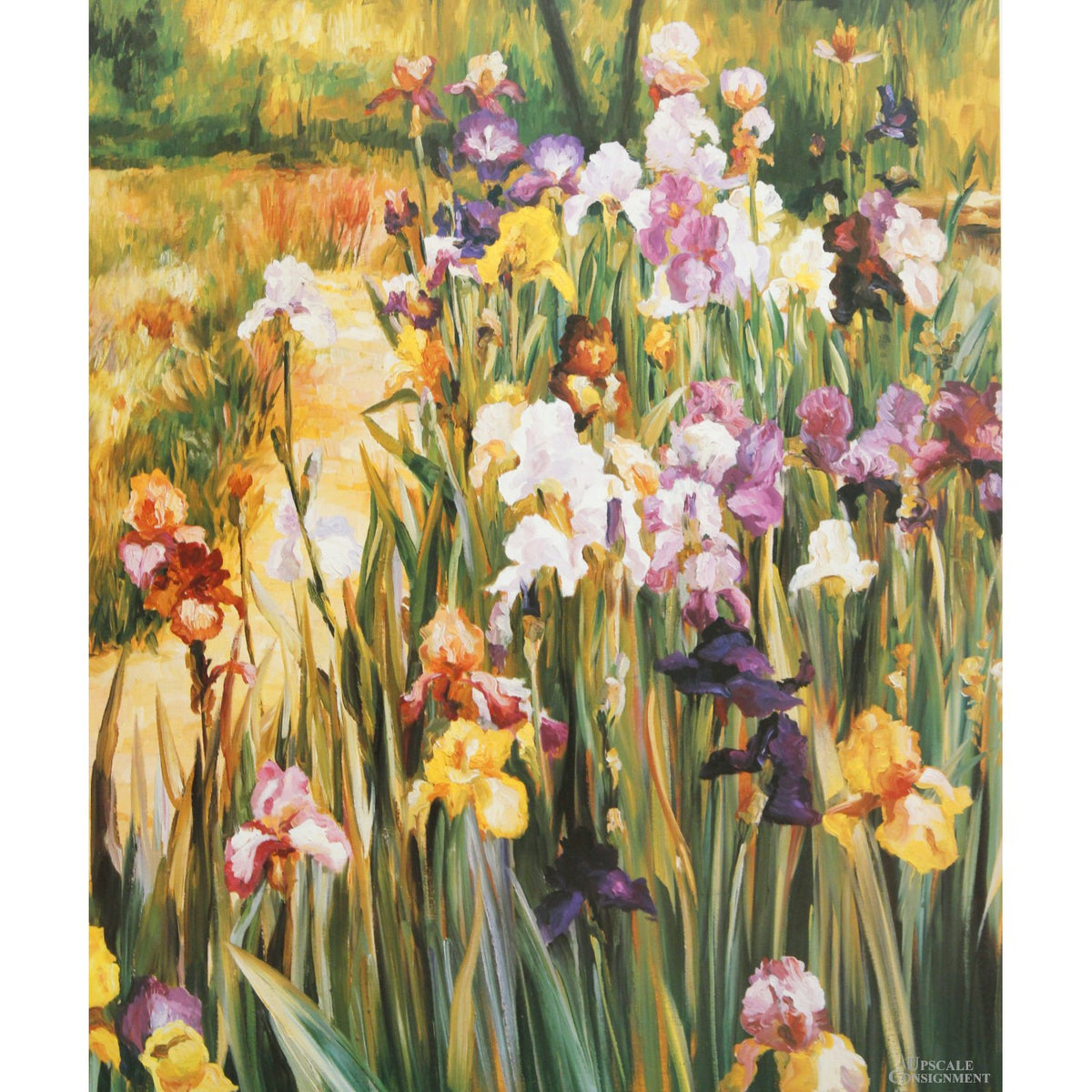 Framed Print -  Wildflowers