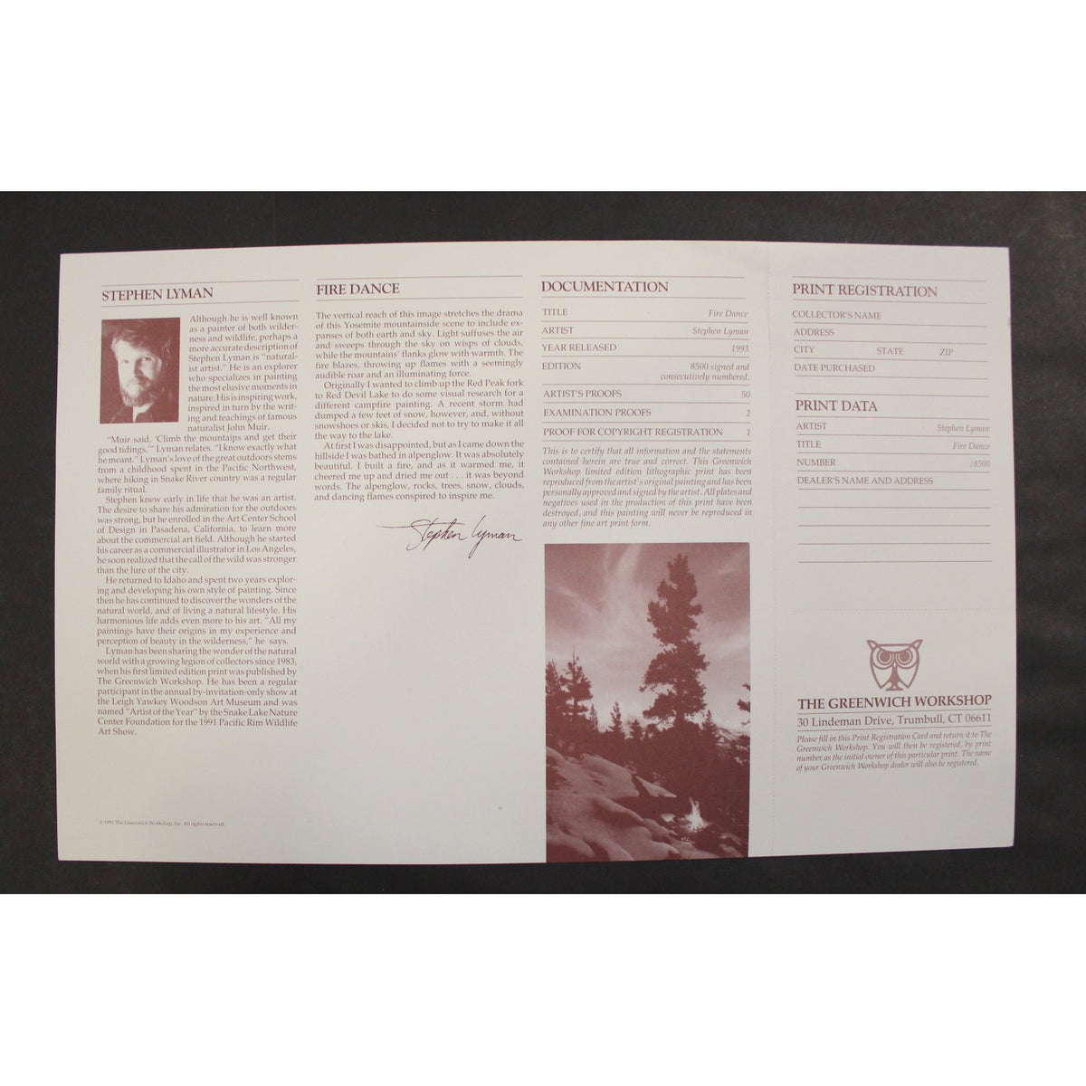 Framed Limited Edition Print "Fire Dance" by Stephen Lyman