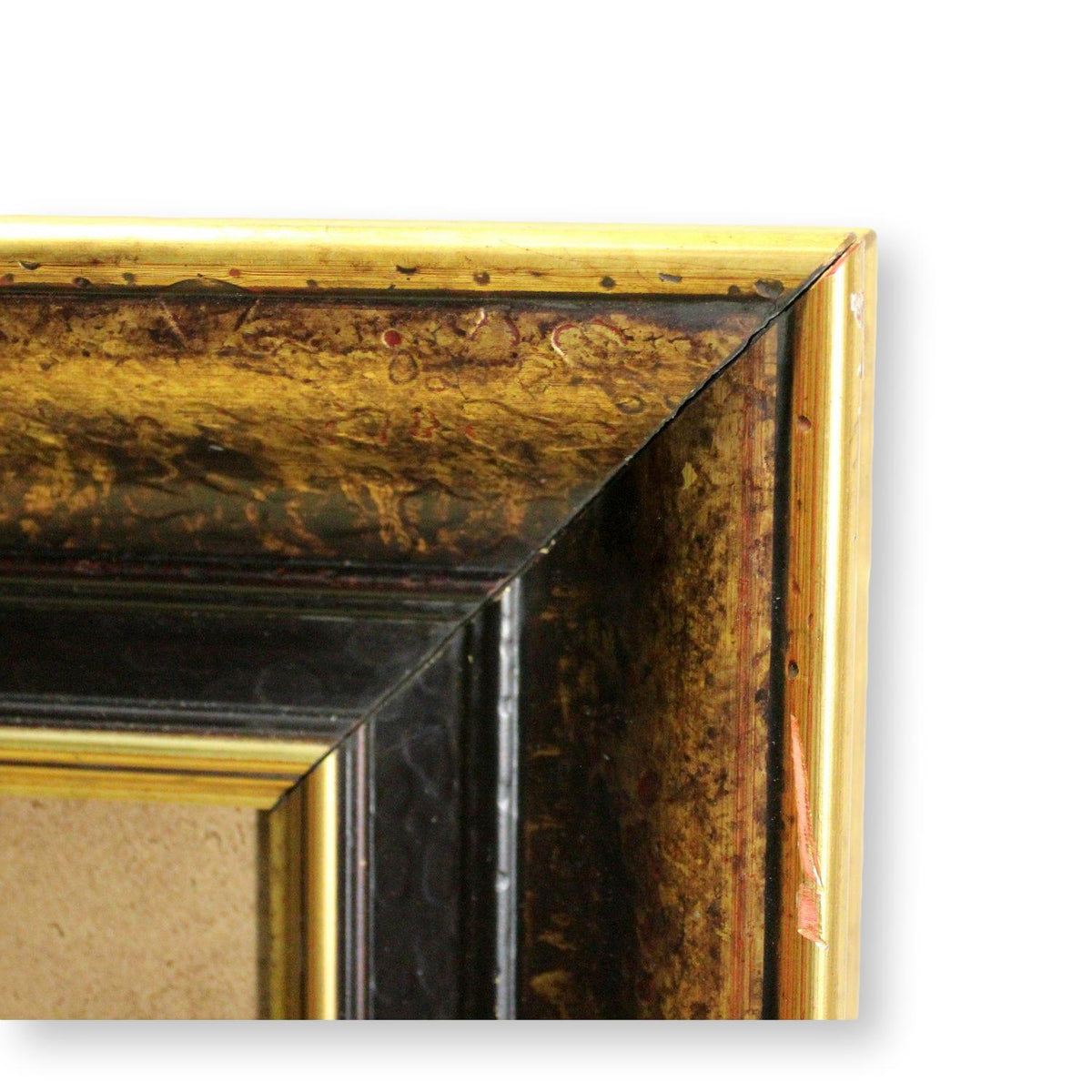 Framed Art - 'Tropical Fantasia I'