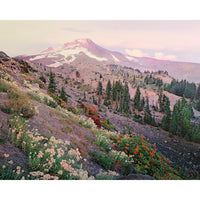 'Mt. Hood Draped in Flowers' Framed Limited Edition Print By Paul & Marilyn Peck