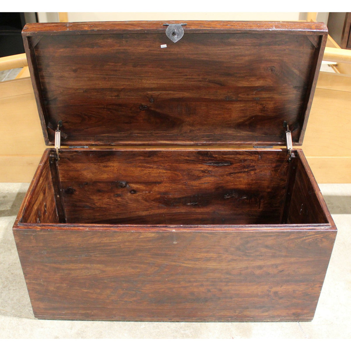 Tropical Rustic Hewn Trunk