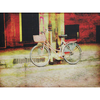 Framed Canvas Print - Bicycle