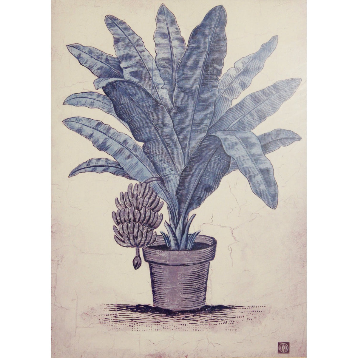 Set/2 Framed Palm Prints