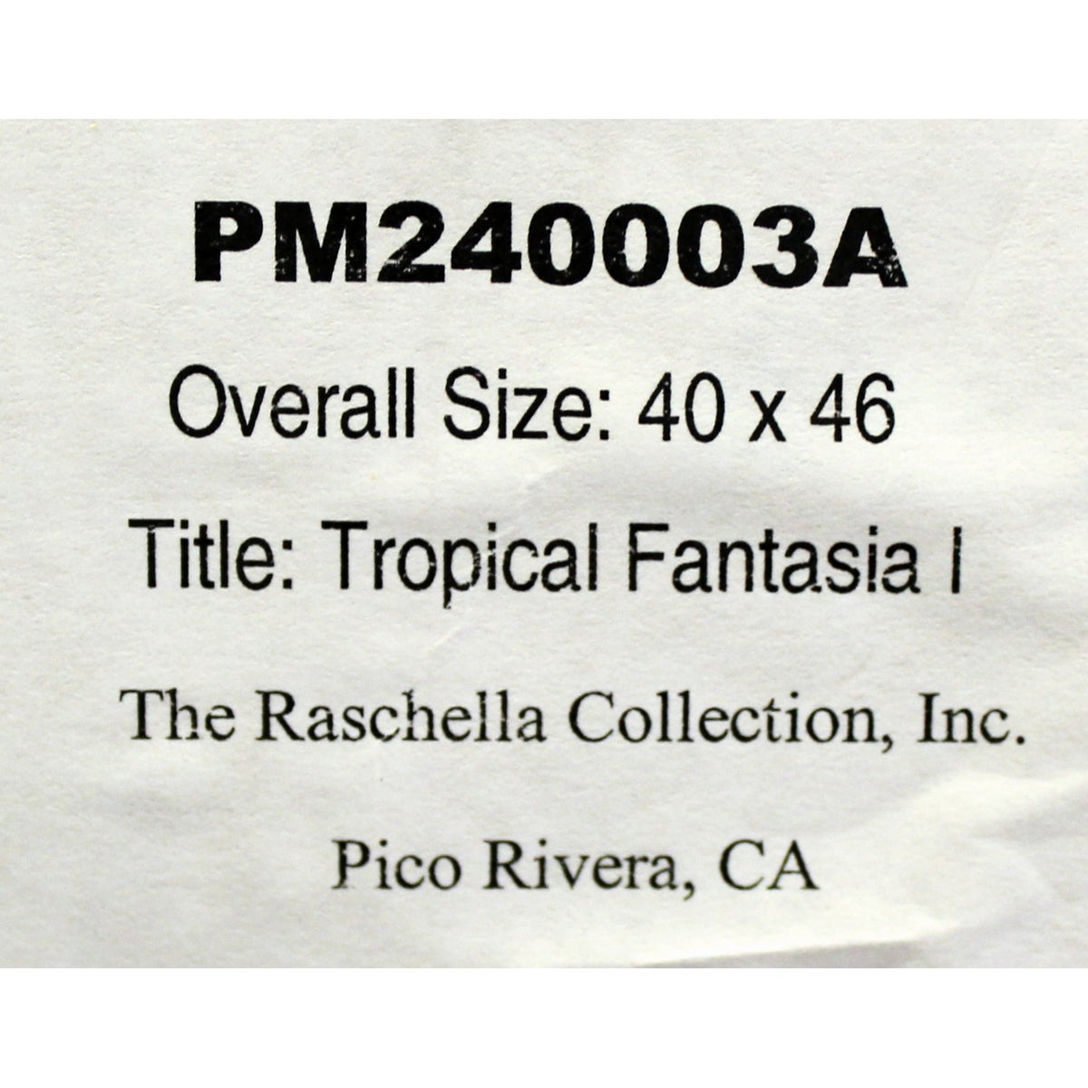 Framed Art - 'Tropical Fantasia I'