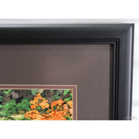 'Oneonta Gorge Tunnel' Framed Limited Edition Print By Paul & Marilyn Peck