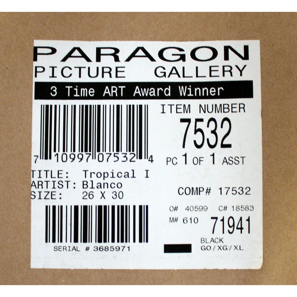 Framed Botanical Print 'Tropical I'