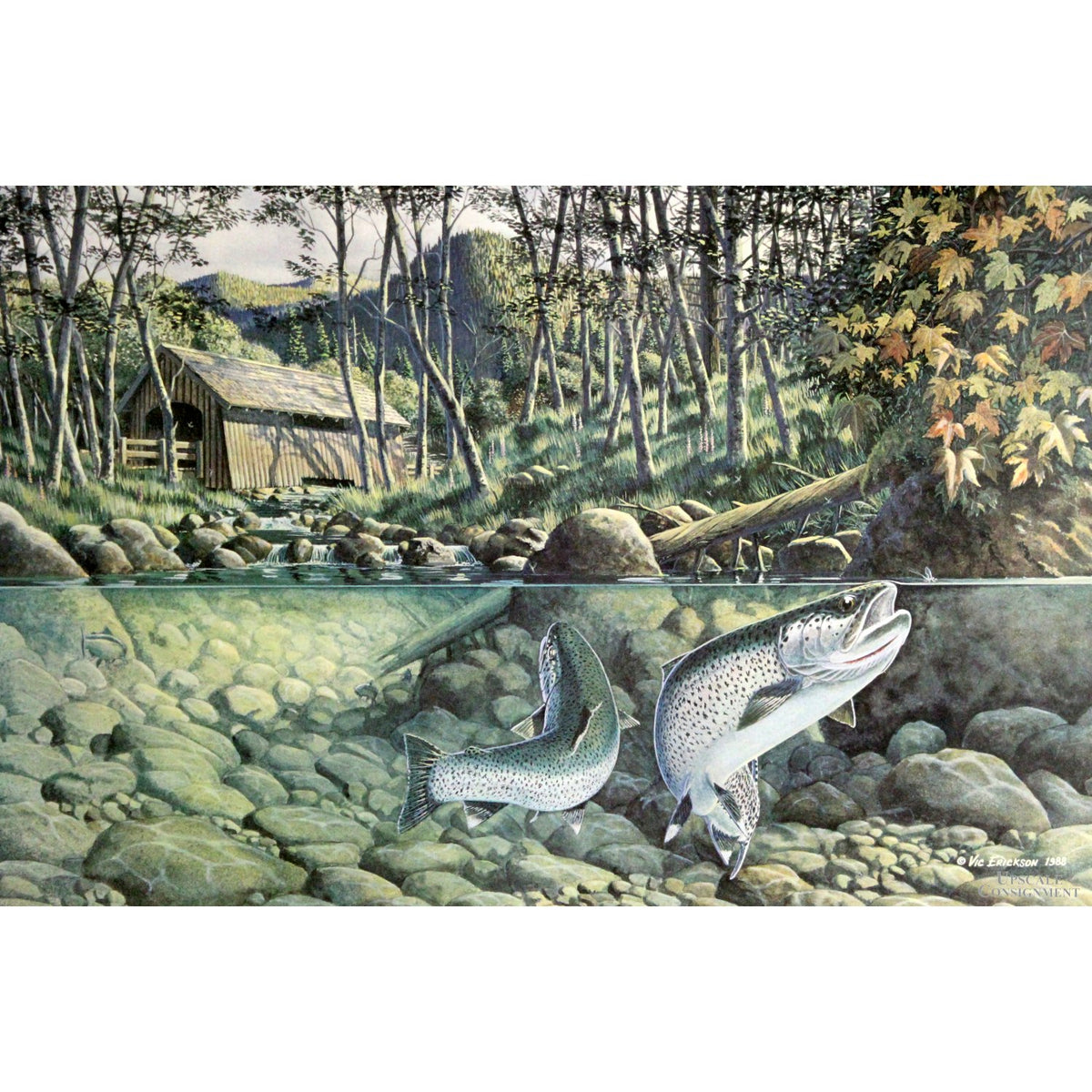 Signed Limited Edition 'Coastal Sea-Run Cut Throat Trout'' Print by Vic Erickson