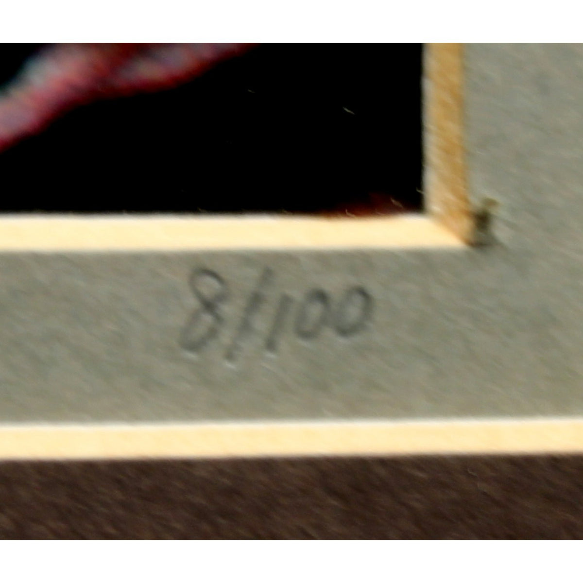 'Moss and Fog - a Valley Stream' Framed LE Print By Paul & Marilyn Peck