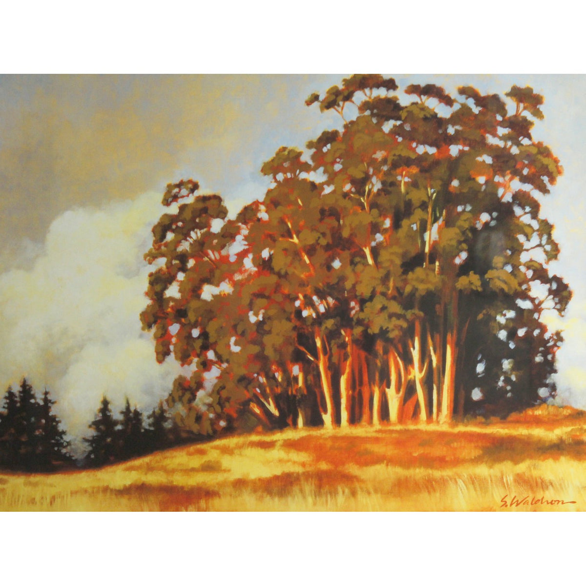Eucalyptus Artwork by Waldron