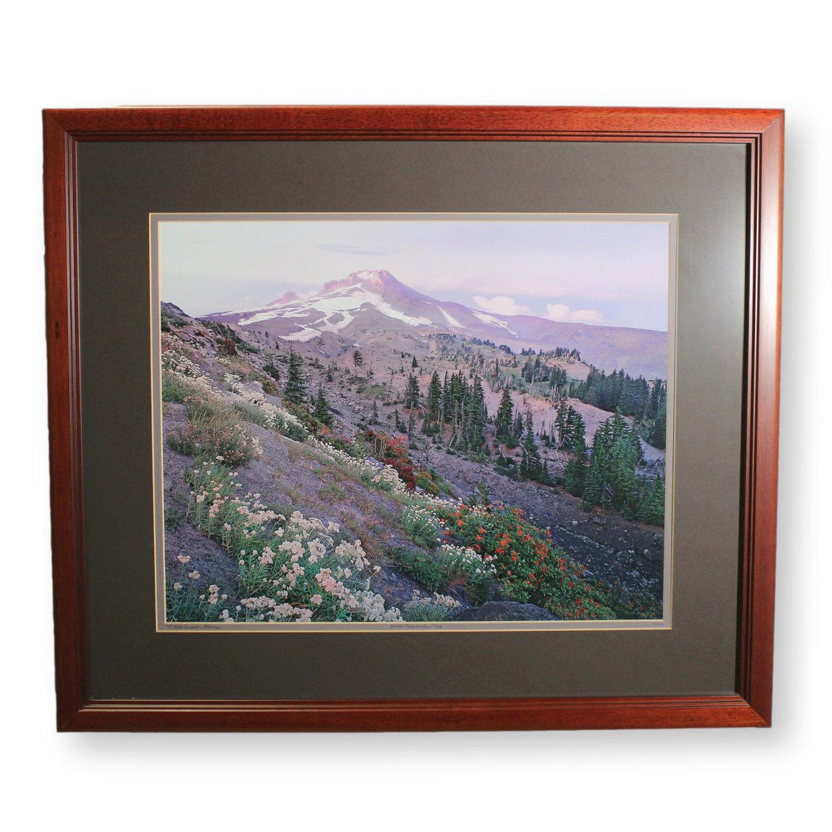 'Mt. Hood Draped in Flowers' Framed Limited Edition Print By Paul & Marilyn Peck