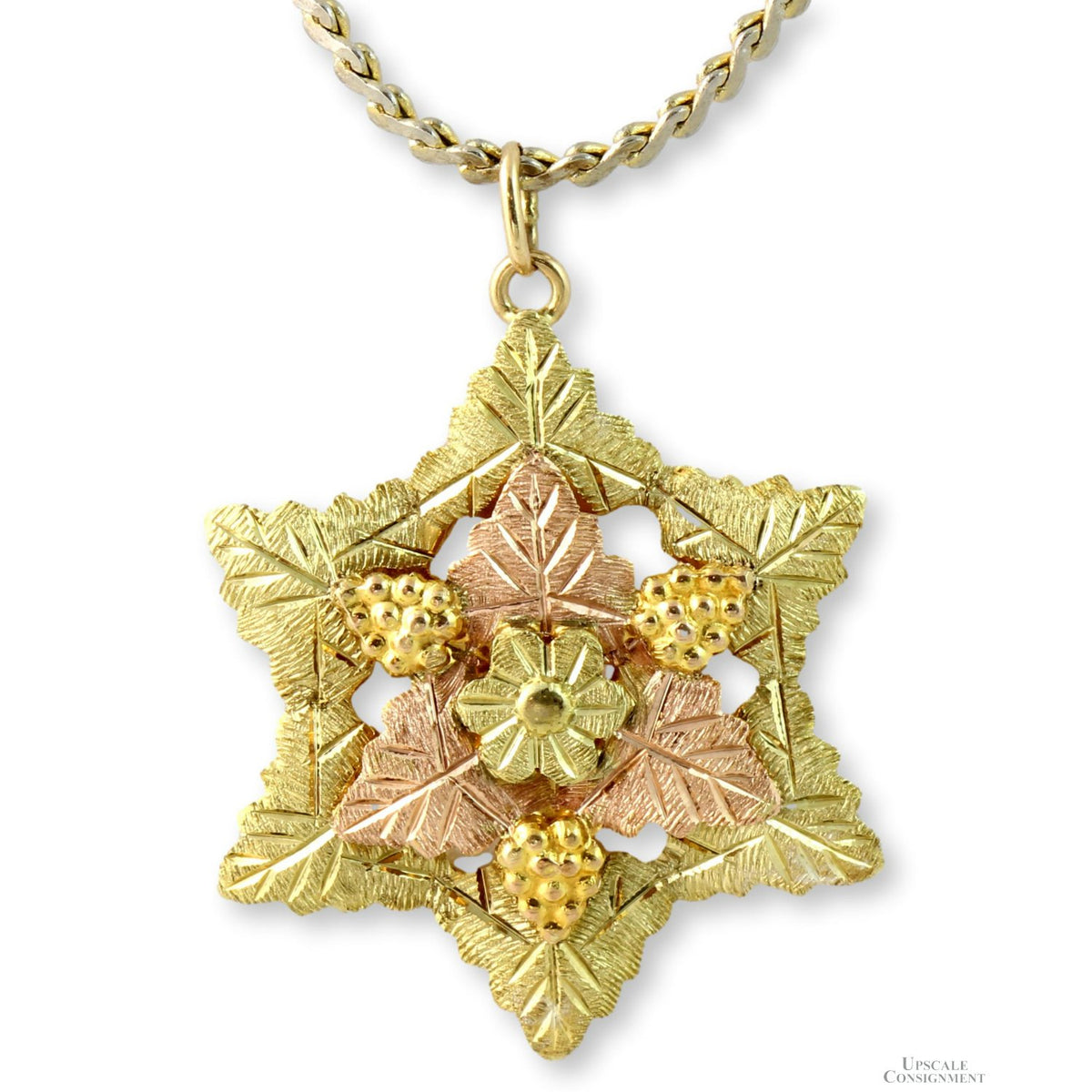 10K Yellow Gold BHG Star Pendant & Gold Tone Chain