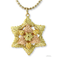 10K Yellow Gold BHG Star Pendant & Gold Tone Chain