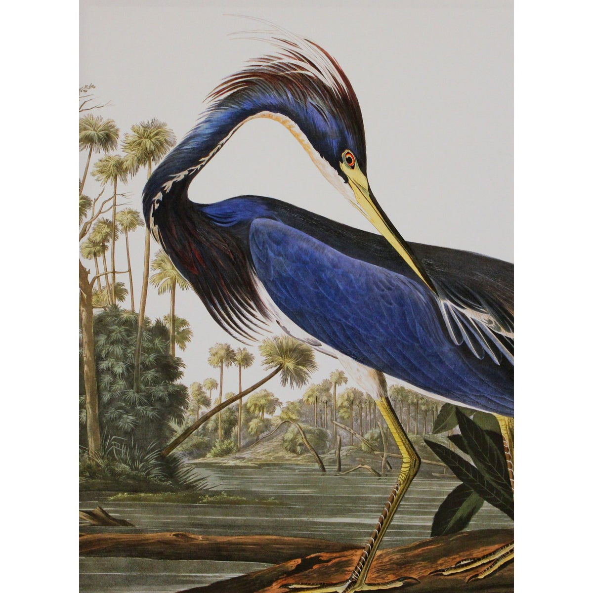 Framed Original Oil Blue Tropical Heron