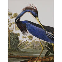 Framed Original Oil Blue Tropical Heron