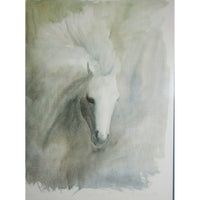 Framed Limited Edition Print - Horse