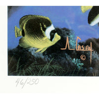 Framed Limited Edition Print " Seal With A Kiss" by Anthony Casay