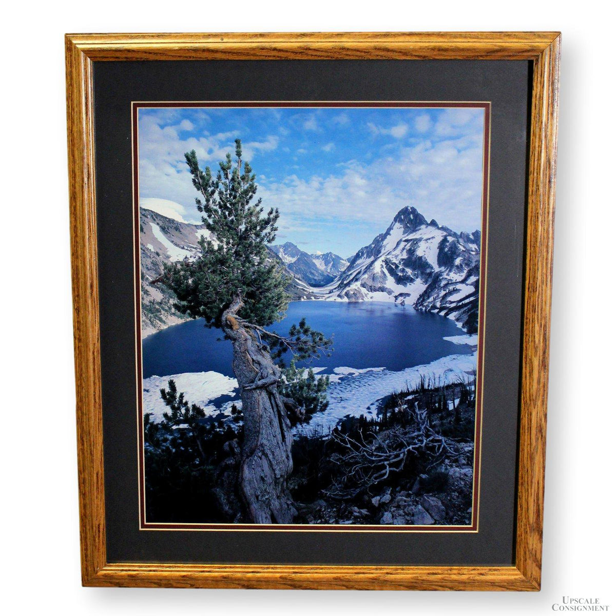 Framed Photographic Art Print - Lone Tree at Mountain Lake