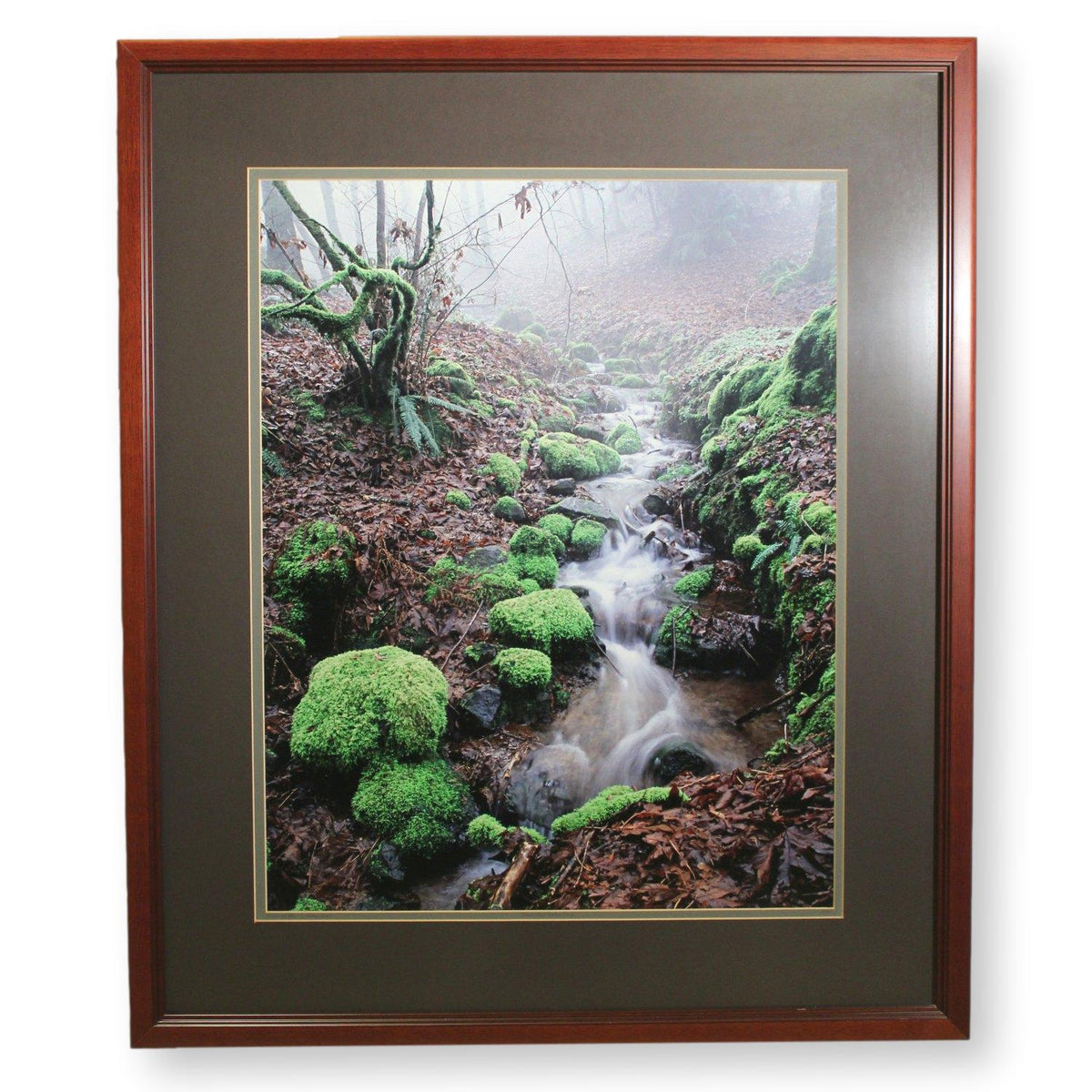 'Moss and Fog - a Valley Stream' Framed LE Print By Paul & Marilyn Peck