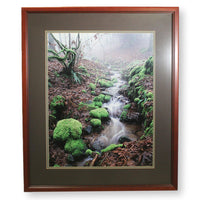 'Moss and Fog - a Valley Stream' Framed LE Print By Paul & Marilyn Peck