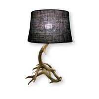 Antler Table Lamp