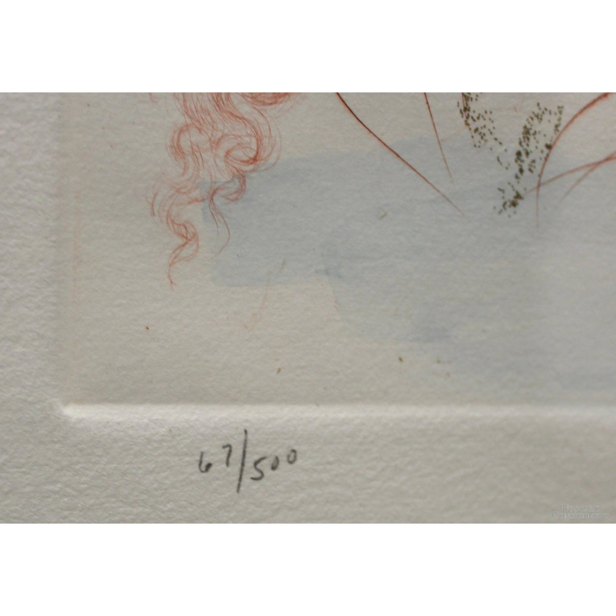 Framed Limited Edition Etching 'Kissing Grapes' by Salvador Dali