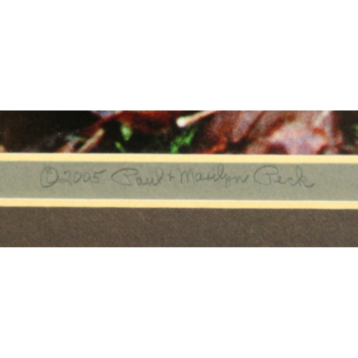 'Moss and Fog - a Valley Stream' Framed LE Print By Paul & Marilyn Peck