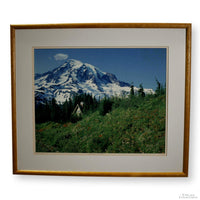 'Experience Rainier' Framed Limited Edition Print By Paul & Marilyn Peck