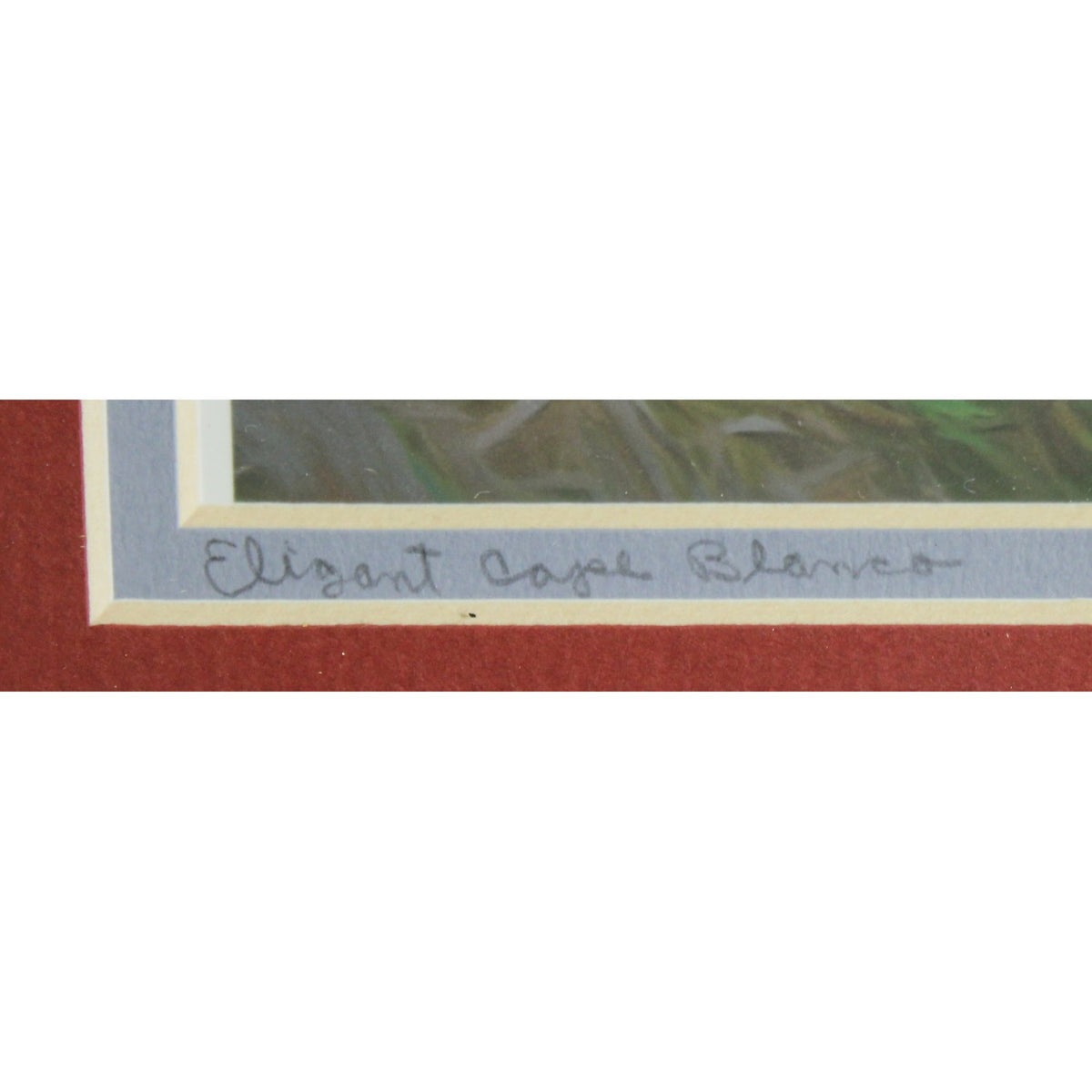 'Elegant Cape Blanco' Framed Limited Edition Print By Paul & Marilyn Peck