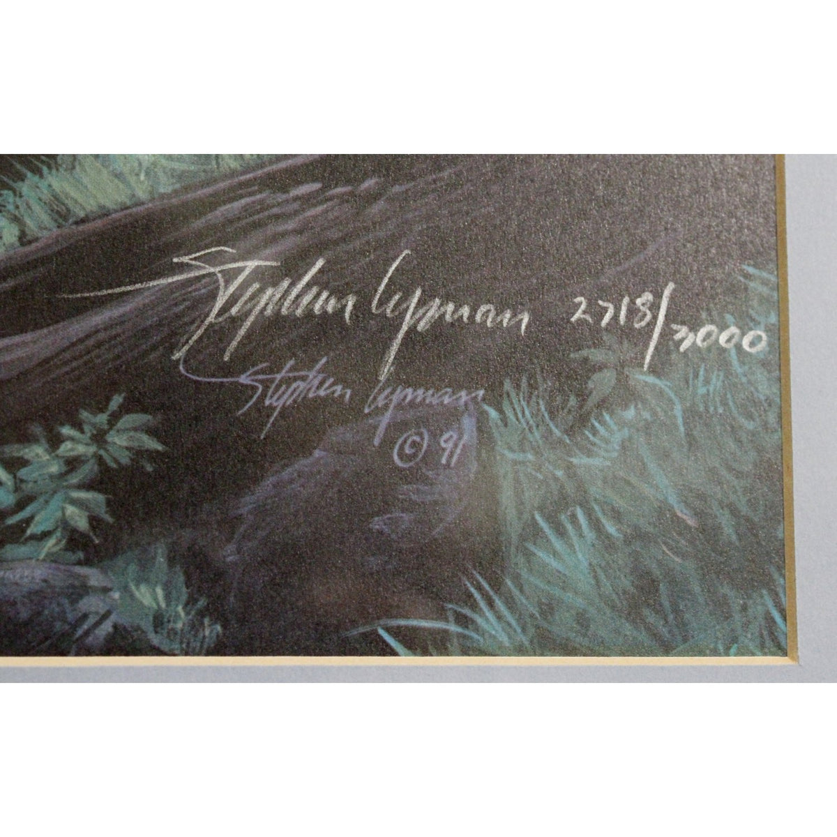 Signed Limited Edition Print 'Dance of Water and Light' By Stephen Lyman