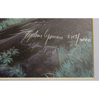 Signed Limited Edition Print 'Dance of Water and Light' By Stephen Lyman