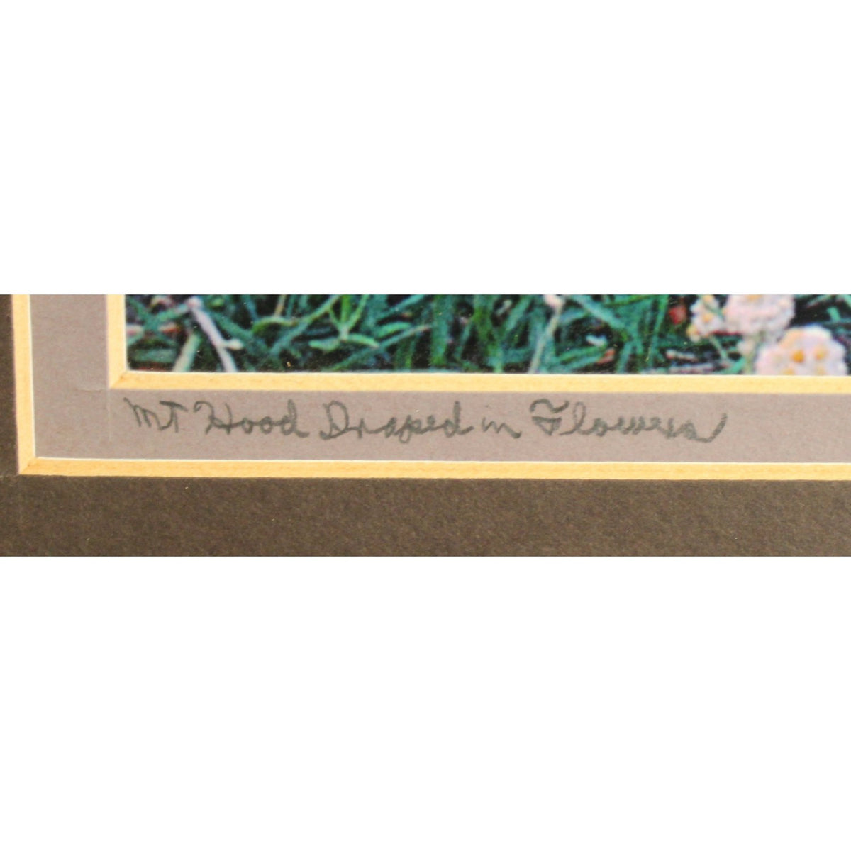 'Mt. Hood Draped in Flowers' Framed Limited Edition Print By Paul & Marilyn Peck