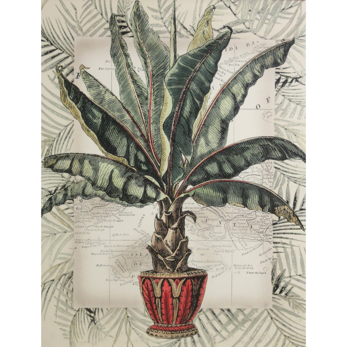 Framed Art - 'Tropical Fantasia I'