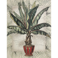 Framed Art - 'Tropical Fantasia I'