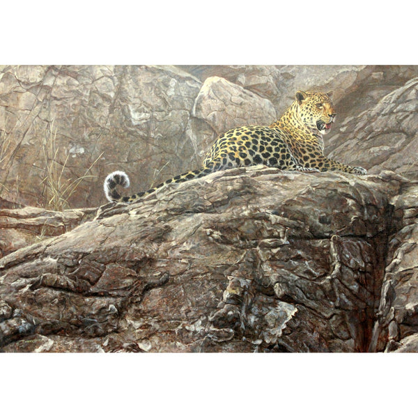 Framed Limited Edition Giclee "First Light" by John Banovich