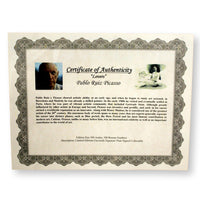 "347-15 Series, Lovers" by Pablo Picasso