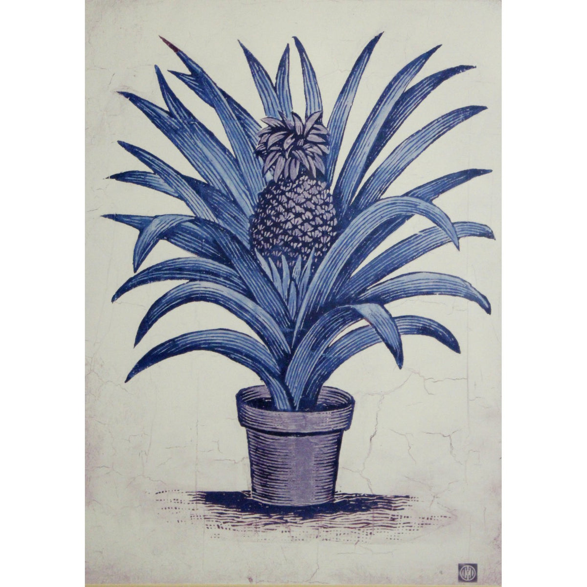 Set/2 Framed Palm Prints