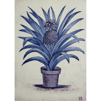 Set/2 Framed Palm Prints