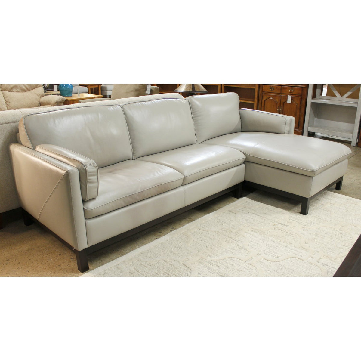 Violino Soft Gray Leather Sectional