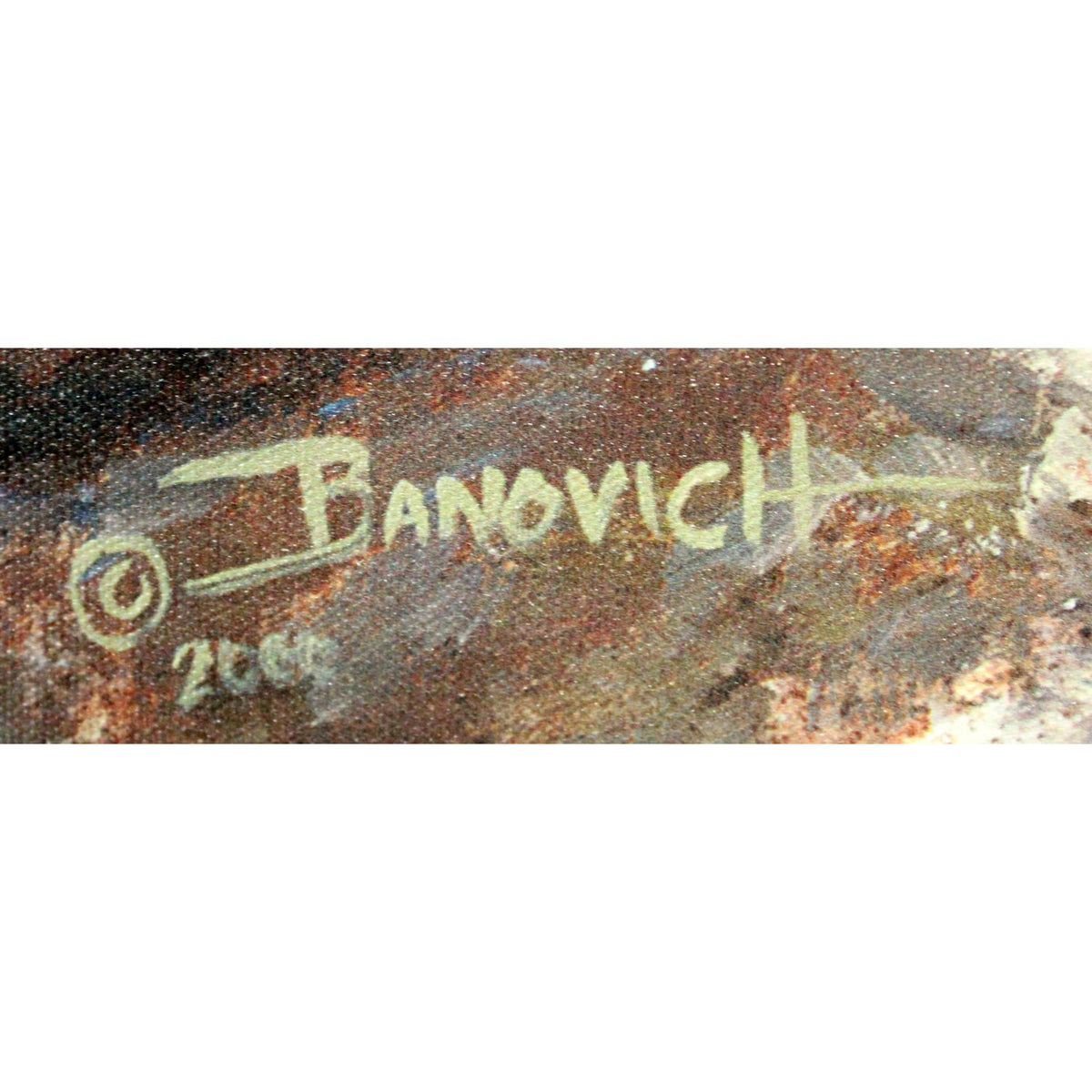 Framed Limited Edition Giclee "First Light" by John Banovich