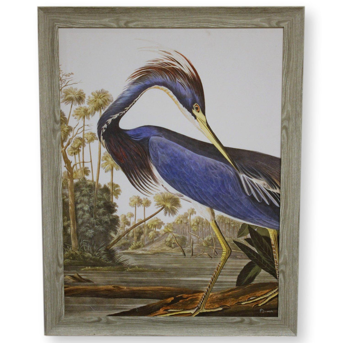 Retouched Print of a Blue Heron