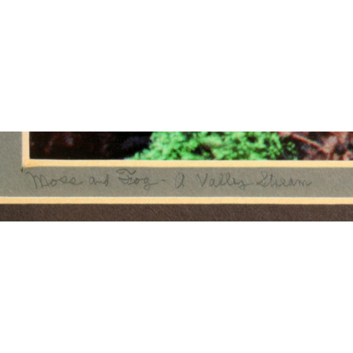 'Moss and Fog - a Valley Stream' Framed LE Print By Paul & Marilyn Peck