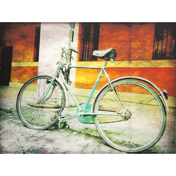 Framed Canvas Print - Bicycle