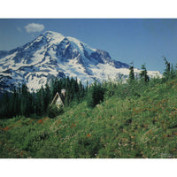 'Experience Rainier' Framed Limited Edition Print By Paul & Marilyn Peck