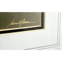 Framed Photographic Artwork - Loon on a Lake By James T. Jones